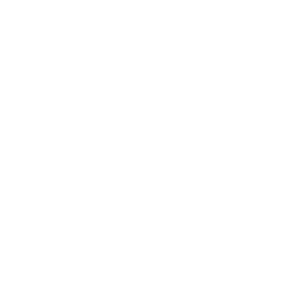 Destination category - Historical places icon