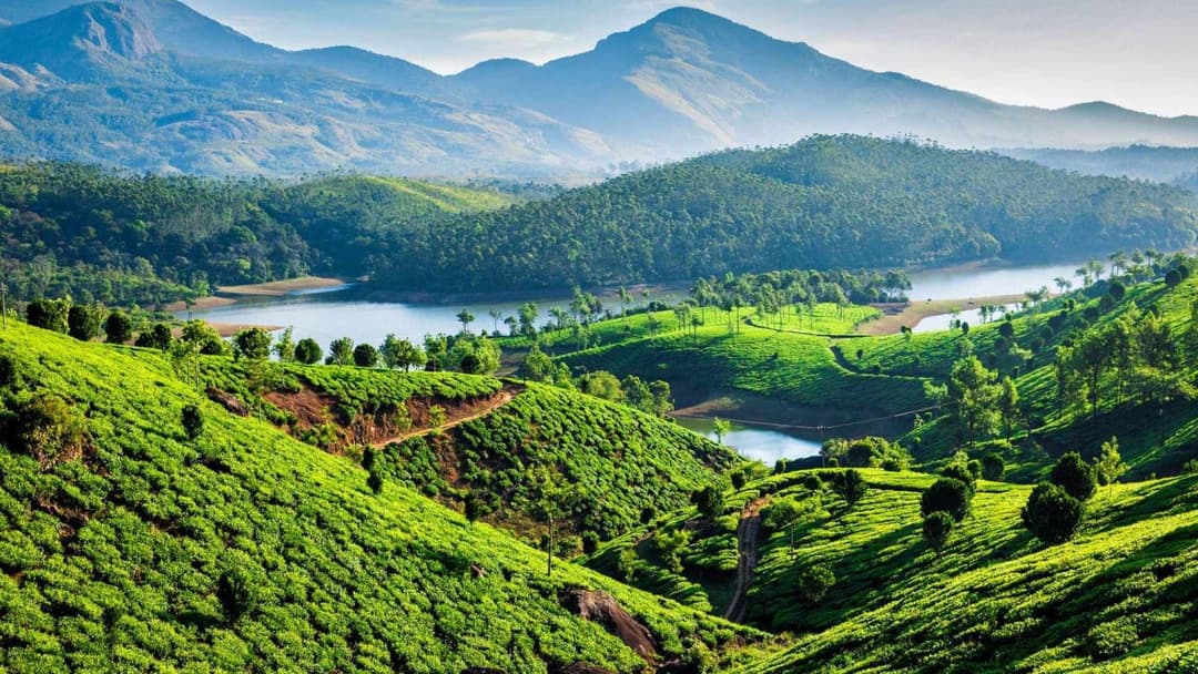 Image of Tea leaves estate and hill views, munnar, kerala