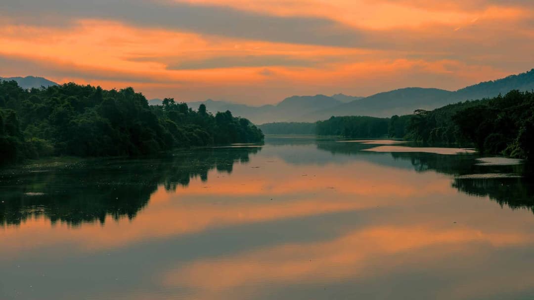 Image of Thattekad-bird-sanctuary-01